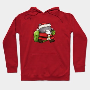 Christmas Santa Claus Cat Hoodie